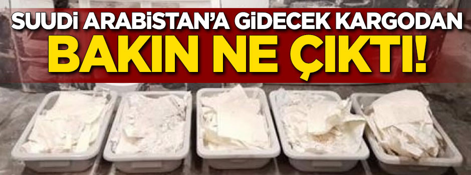 Suudi Arabistan'a gidecek kargodan bakın ne çıktı