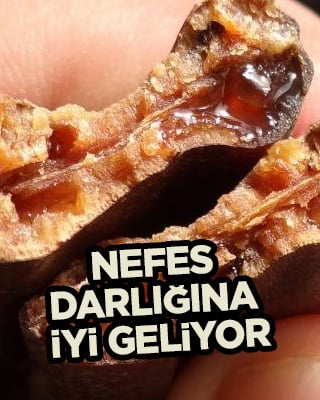 Suya keçiboynuzu koyun ve 2 ay boyunca için