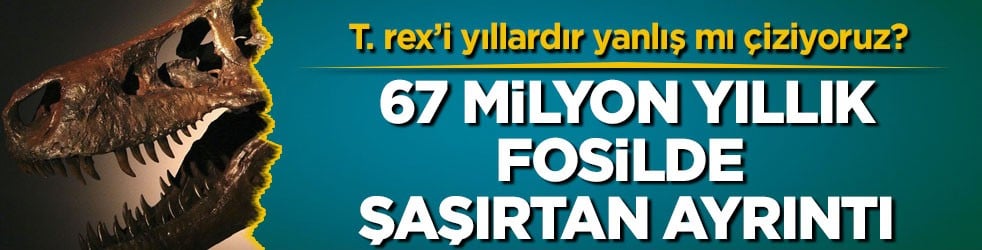 T. rex’i yıllardır yanlış mı çiziyoruz? 67 milyon yıllık fosilde şaşırtan ayrıntı