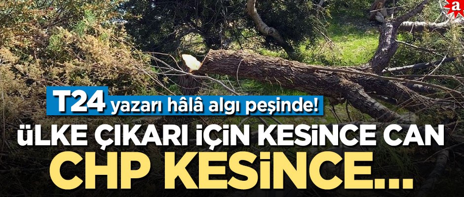 T24 yazarı hâlâ algı peşinde! Ülke çıkarı için kesilince can, CHP kesince...