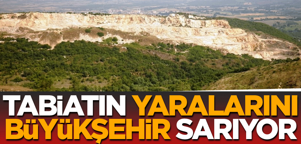 Tabiatın yaralarını Büyükşehir sarıyor