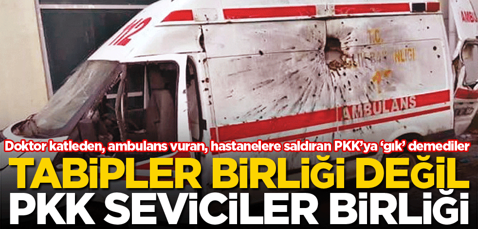 Tabipler birliği değil PKK seviciler birliği