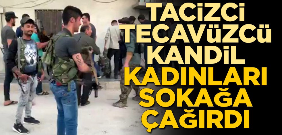 Tacizci, tecavüzcü Kandil kadınları sokağa çağırdı
