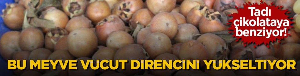 Tadı çikolataya benziyor! Bu meyve vücut direncini yükseltiyor