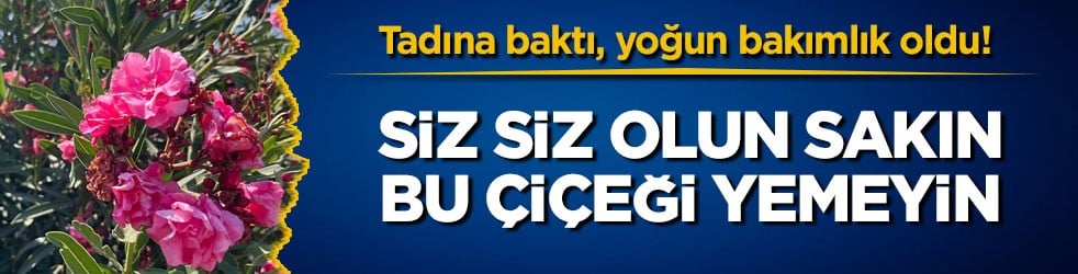 Tadına baktı, yoğun bakımlık oldu! Siz siz olun sakın bu çiçeği yemeyin