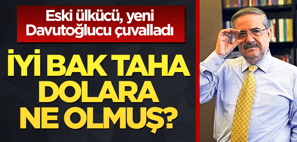 Taha Akyol da döviz gibi tepetaklak oldu! Ne yazdı, ne çıktı