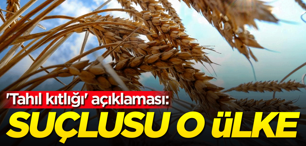 'Tahıl kıtlığı' açıklaması: Suçlusu o ülke
