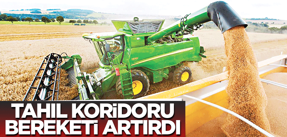 Tahıl Koridoru bereketi artırdı