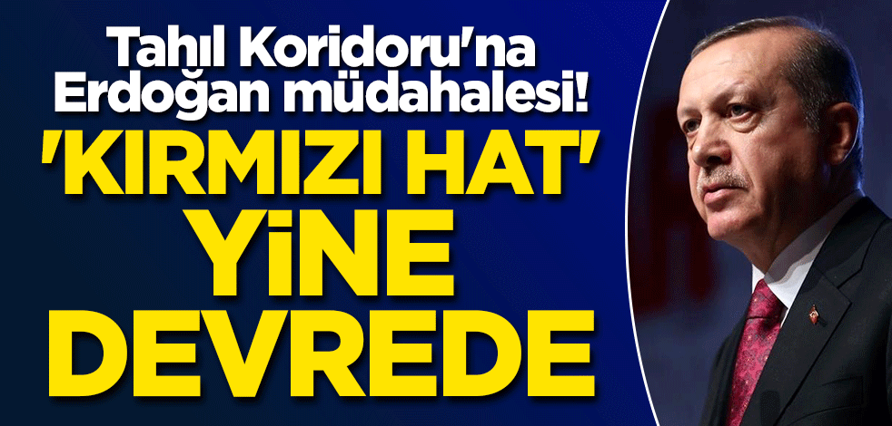 Tahıl Koridoru'na Erdoğan müdahalesi! 'Kırmızı hat' yine devrede