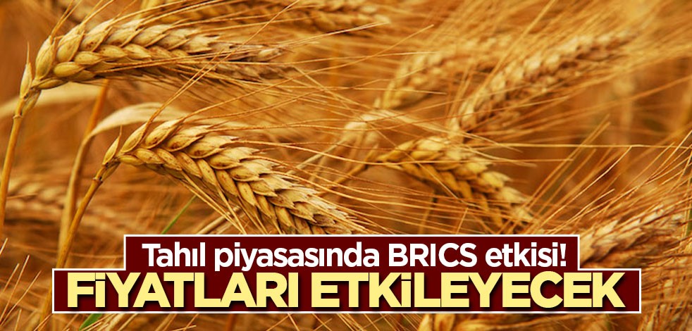 Tahıl piyasasında BRICS etkisi! Fiyatları etkileyecek