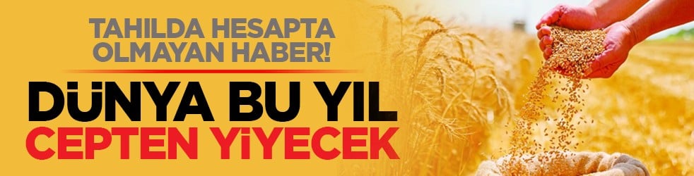Tahılda hesapta olmayan haber! Dünya bu yıl cepten yiyecek
