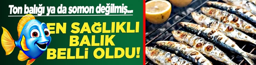 Tahtları sallandı...  En sağlıklı balık belli oldu: Ton balığı ya da somon değilmiş!