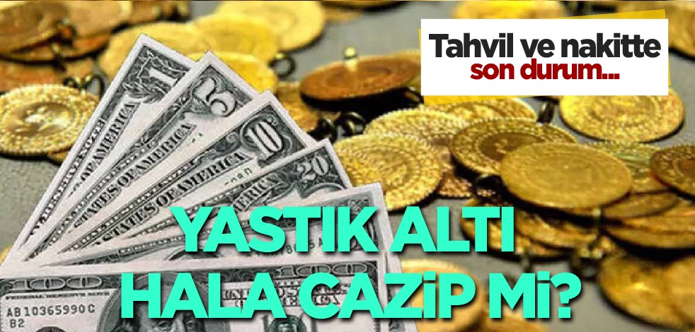 Tahvil ve nakitte son durum! Yastık altı hala cazip mi?