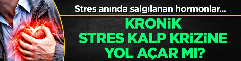 Takatsubo myokardit adlı bir hastalık da... Kronik stres kalp krizine yol açar mı?
