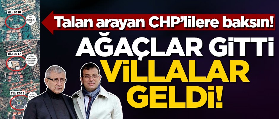 Talan arayan CHP’lilere baksın! Kaz Dağları’ndan iç sızlatan görüntüler