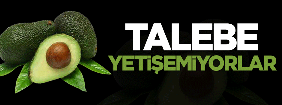 Talebe yetişemiyorlar