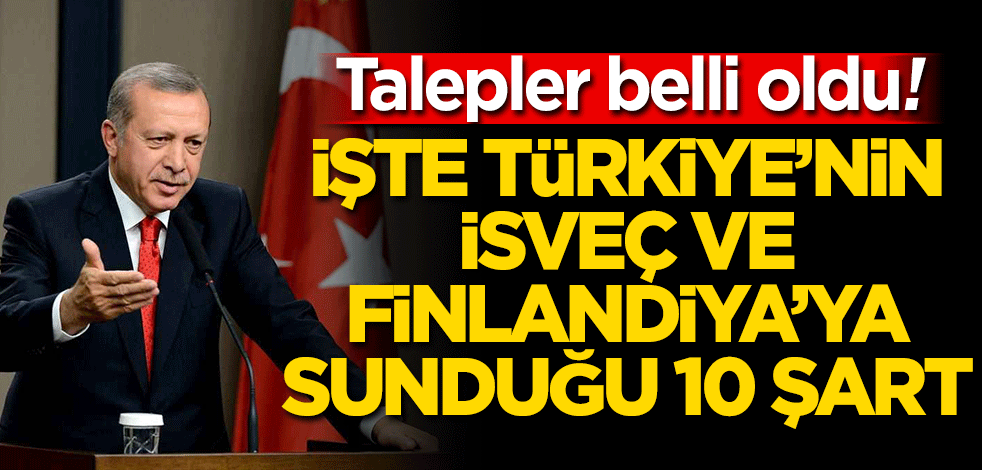 Talepler belli oldu! Türkiye'den İsveç ve Finlandiya'ya 10 şart