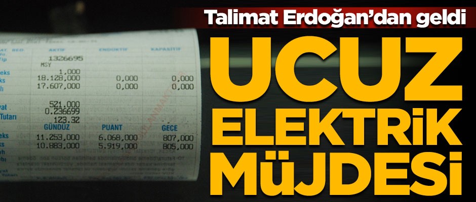 Talimat Erdoğan'dan geldi! Bakan Dönmez'den ucuz elektrik müjdesi