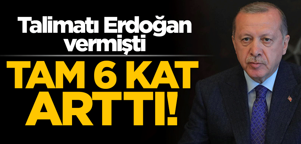 Talimatı Erdoğan vermişti! Kenevir tarımı 6 kat arttı