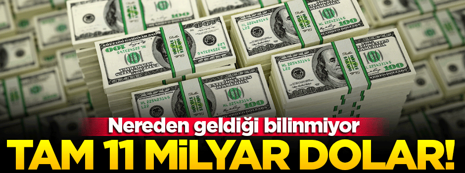 Tam 11 milyar dolar! Nereden geldiği bilinmiyor...