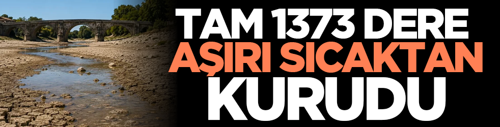 Tam 1373 dere aşırı sıcaktan kurudu