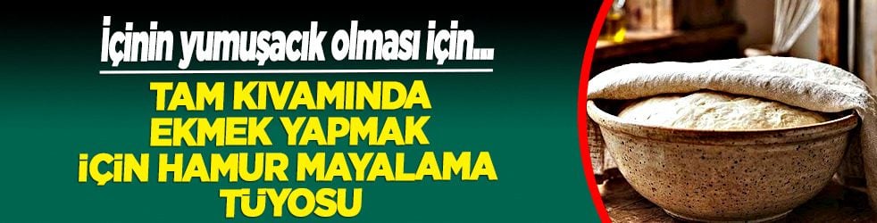Tam anlamıyla kıvamında ekmek: Hamur mayalama tüyosu haberimizde! Akla gelmeyen tüyoyu hatırlatıyoruz 