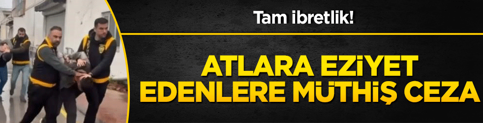 Tam ibretlik! Atlara eziyet edenlere müthiş ceza