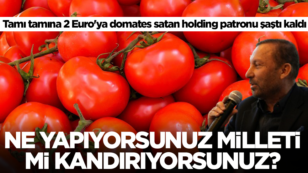 Tamı tamına 2 Euro'ya domates satan holding patronu şaştı kaldı: Ne yapıyorsunuz, milleti mi kandırıyorsunuz