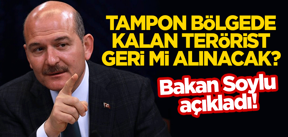 Tampon bölgede kalan DAEŞ'li terörist geri mi alınacak? Soylu'dan flaş açıklama!