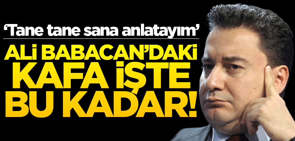 ‘Tane tane sana anlatayım’ Ali Babacan’daki kafa, işte bu kadar!