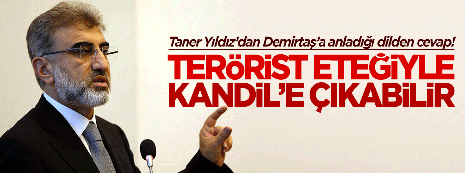 Taner Yıldız'dan Demirtaş'a anladığı dilden cevap!