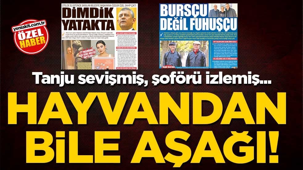 Tanju sevişmiş, şoförü izlemiş... Hayvandan bile aşağı!