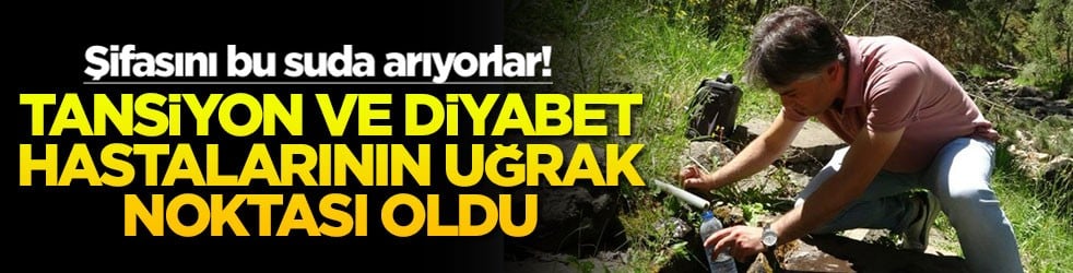 Tansiyon ve diyabet hastalarının uğrak noktası oldu: Şifasını bu suda arıyorlar