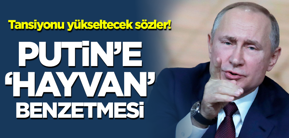 Tansiyonu yükseltecek sözler! Putin'e 'hayvan' benzetmesi