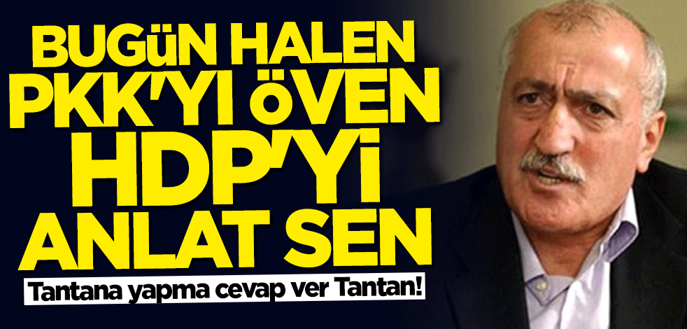 Tantana yapma cevap ver Tantan! Bugün halen PKK'yı öven HDP'yi anlat sen