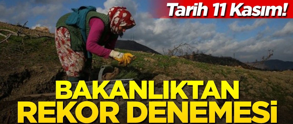 Tarih 11 Kasım! Bakanlıktan rekor denemesi