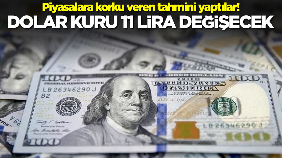 Tarih verdiler: Dolar kuru 11 lira değişecek