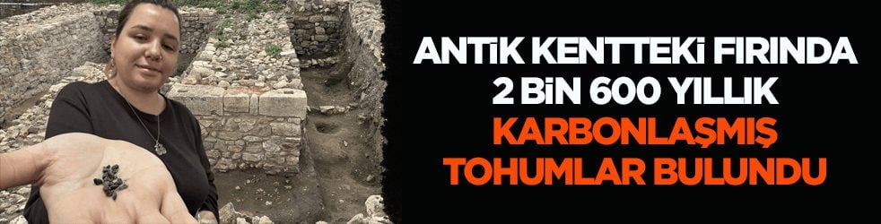 Tarihi antik kentte kazı çalışması başladı! Fırında 2 bin 600 yıllık karbonlaşmış tohumlar bulundu