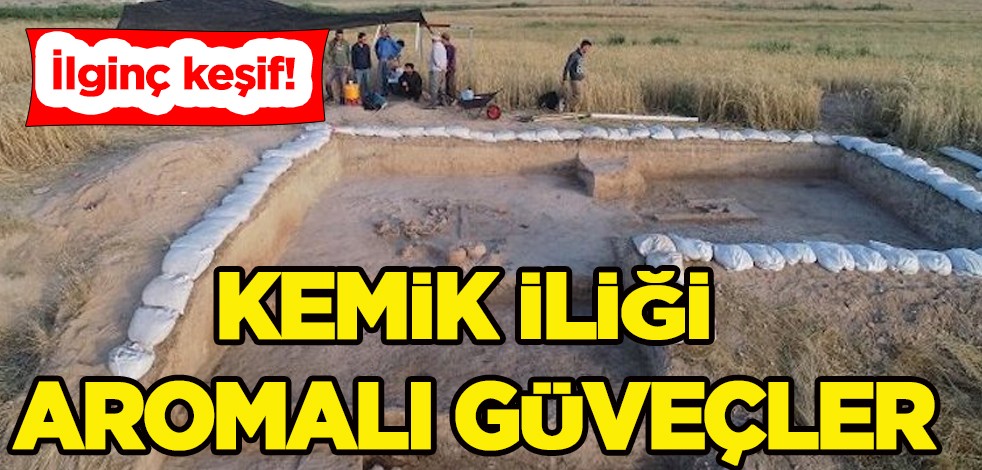 Tarihi keşif: İlk seri üretim kaselerdeki yemek kalıntıları keşfedildi! İlginç detayda son gelişme