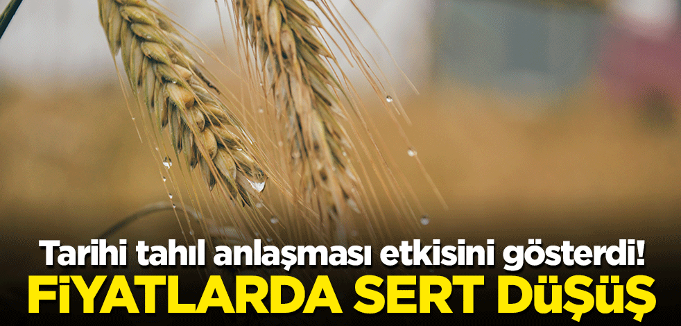 Tarihi tahıl anlaşması etkisini gösterdi! Fiyatlarda sert düşüş