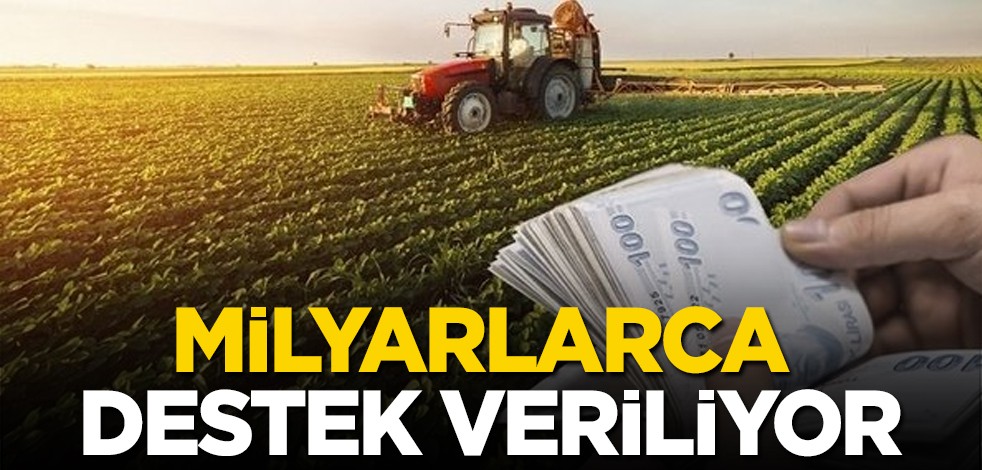 Tarım Bakanı büyük müjdeyi açıkladı: Kadın çiftçilere toplamda 15 Milyar TL destek verildi!