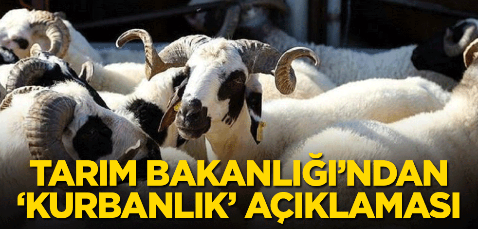 Tarım Bakanlığı'ndan 'kurbanlık' açıklaması