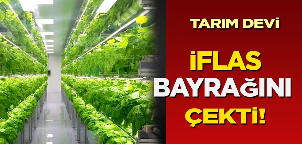 Tarım devi o şirket iflas etti! Çalışanlar resmen işsiz kaldı! Bu defa İflas bayrağını çekmek için ayağa kalktı!