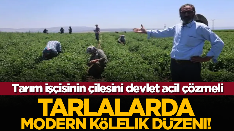 Tarım işçisinin çilesini devlet acil çözmeli: Tarlalarda Modern Kölelik Düzeni!