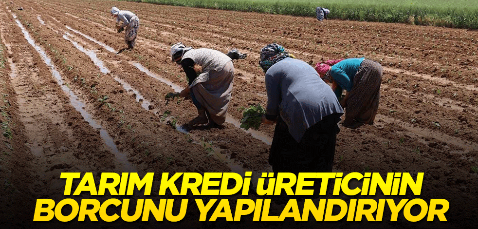 Tarım Kredi'den üreticiye borç yapılandırması