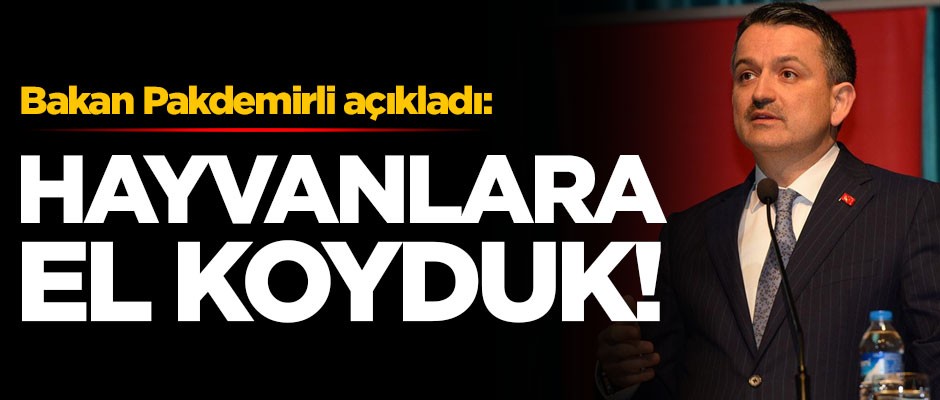 Tarım ve Orman Bakanı Bekir Pakdemirli açıkladı: Hayvanlara el koyduk