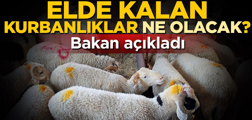 Tarım ve Orman Bakanı Bekir Pakdemirli duyurdu! Elde kalan kurbanlıklar satın alınacak