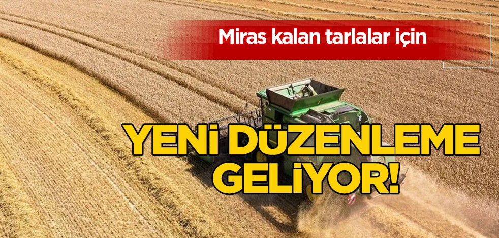 Tarım ve Orman Bakanlığı ilan etti: Ortaya çıkan yeni düzenlemeyi duyurdu! Miras sahipleri dikkat, flaş açıklama