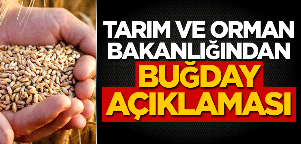 Tarım ve Orman Bakanlığından buğday açıklaması