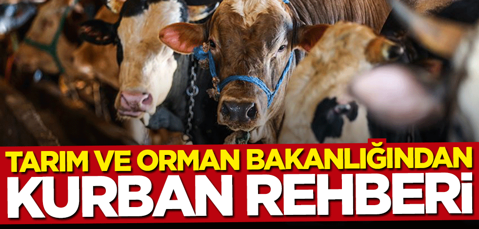 Tarım ve Orman Bakanlığından "Kurban Rehberi"